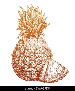 Handgezeichnete Skizze Ananas mit Scheibe. Umweltfreundliches, frisches Essen. Vektor-Illustration der tropischen Früchte Stock Vektor