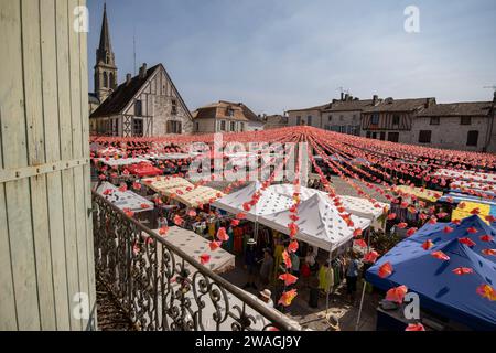 Ville d'Eymet, bastide-Stadt, in der Region Südwest-Dordogne, mit einem blühenden Marktplatz, am Ufer des Dropt River, Frankreich, Europa. Stockfoto