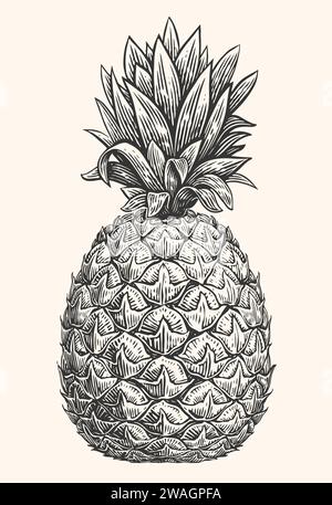 Handgezogene Ananas. Tropische Sommer Frucht gravierte Stil Vektor Illustration Stock Vektor