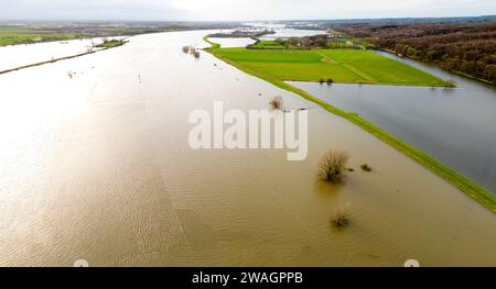 Hochwasserstände im Rhein im Januar 2024 bei Doorwerth, Holland Stockfoto