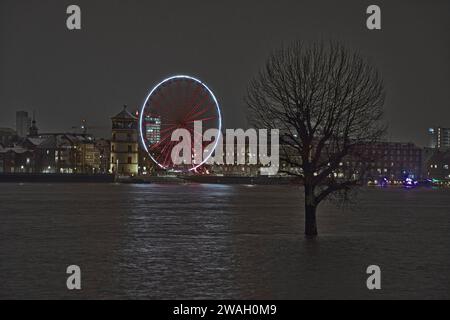 Ein einzelner Baum im überfluteten Rhein mit einem Riesenrad im Hintergrund Stockfoto