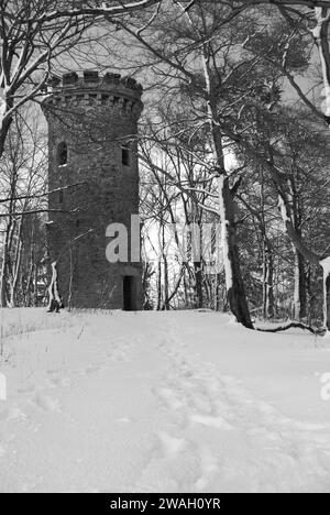 Vertikale Graustufenaufnahme eines alten Turms am Steinberg in den Harzer Bergen bei Goslar Stockfoto