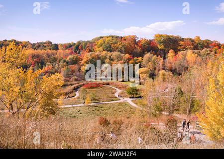 Herbstblick auf den Weston Family Quarry Garden, ein Teil der historischen Stätte der Valley Brick Works in Toronto. Auch bekannt als Evergreen Brick Works, hat der Standort eine Stockfoto