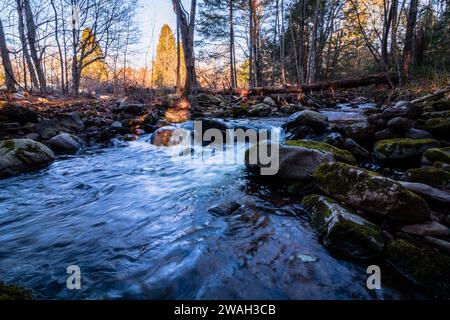 Der Stokes State Forest im Sussex County, NJ, Flatbrook verläuft am späten Nachmittag im frühen Winter entlang des Blue Mountain Trail Stockfoto