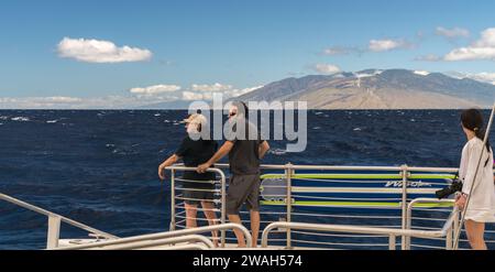 Touristen auf einer Bootstour auf Maui bestaunen das Meer Stockfoto