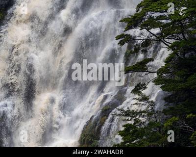 Wasserfall und Bäume im Dusky Sound Fiordland National Park, Neuseeland Stockfoto