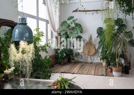 Garten im Boho-Stil. Skandinavische Innenarchitektur des Innengartens mit Zimmerpflanzen Stockfoto