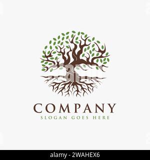 Vintage Tree of Life Logo, altes Eiche Baum Logo, alter großer Baum mit dem Wurzel Logo Vektor auf weißem Hintergrund Stock Vektor