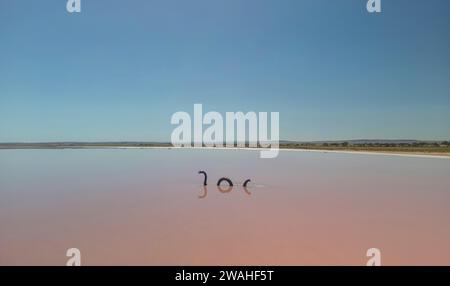 Aus der Vogelperspektive auf den Lake Bumbunga (Lochiels Pink Lake) im Clare Valley in South Australia Stockfoto