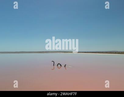 Aus der Vogelperspektive auf den Lake Bumbunga (Lochiels Pink Lake) im Clare Valley in South Australia Stockfoto