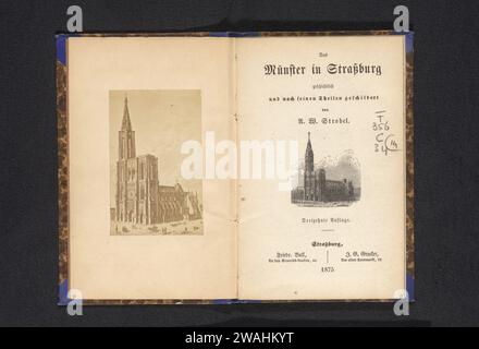 Fotoproduktion eines Gesichts auf der Kathedrale von Straßburg, Anonym, um 1882 - in oder vor 1887 Fotografie Straßburg (Frankreich) fotografischer Träger Albumenkirche (außen) Stockfoto