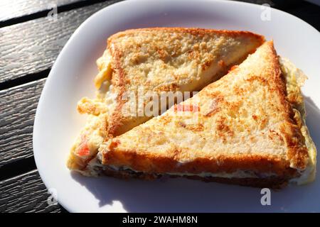 Sandwich mit Masala-Brot und Omelette im Straßenstil. Frisch gekochte Eier mit Zwiebeln, Tomaten und Gewürzen. Kopierbereich. Gesunde Frühstücksideen. Stockfoto