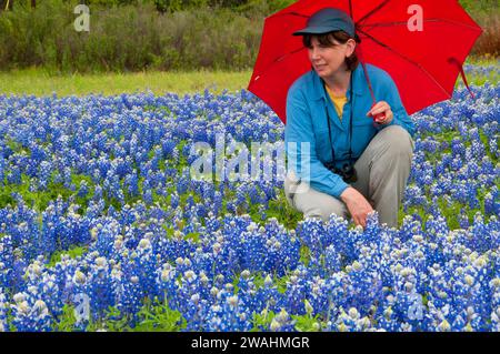 Inks Lake State Park, Texas Texas Bluebonnet Feld Stockfoto