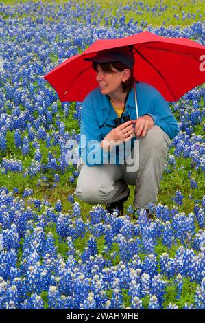 Inks Lake State Park, Texas Texas Bluebonnet Feld Stockfoto