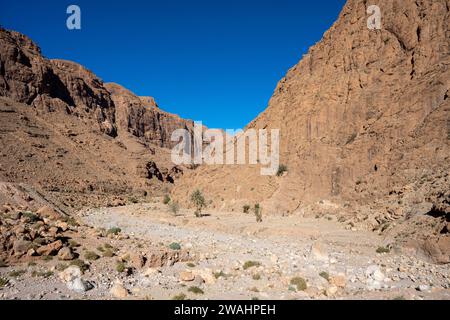 Todra Gorge oder Gorges du Toudra, in der Nähe von Tinghir, Marokko Stockfoto