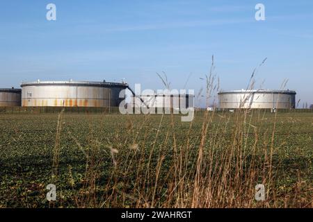 Mit Rohöl gefüllte Tanks bei der Oelhafen Rostock GmbH, EUROPORTS. Die PCK-Raffinerie in Schwedt wird von hier aus über eine Pipeline mit Rohöl versorgt Stockfoto