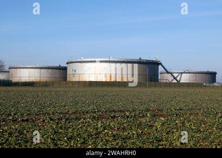 Mit Rohöl gefüllte Tanks bei der Oelhafen Rostock GmbH, EUROPORTS. Die PCK-Raffinerie in Schwedt wird von hier aus über eine Pipeline mit Rohöl versorgt Stockfoto