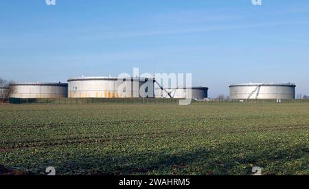 Mit Rohöl gefüllte Tanks bei der Oelhafen Rostock GmbH, EUROPORTS. Die PCK-Raffinerie in Schwedt wird von hier aus über eine Pipeline mit Rohöl versorgt Stockfoto