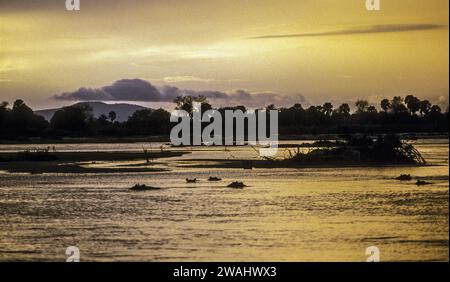 Sonnenuntergang über dem Rufiji-Fluss, mit Silhouetten-Nilpferden, Selous Game Reserve, Tansania Stockfoto