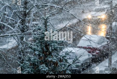 Berlin, Deutschland. Januar 2024. Schnee bedeckt geparkte Autos, Straßen und Bürgersteige in einer Straße in Karlshorst. Quelle: Jens Kalaene/dpa/Alamy Live News Stockfoto