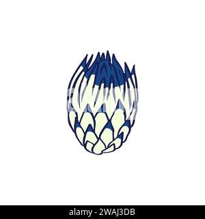 Protea Blume Black Line Art isoliert auf weiß Stock Vektor