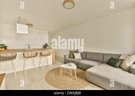 Geräumiges graues Sofa im großen Wohnzimmer des luxuriösen Apartments mit Couchtisch und Küche im Hintergrund Stockfoto