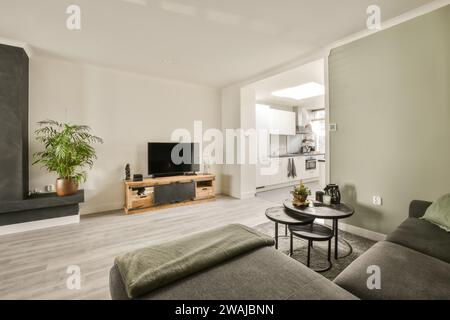 Graue Couch mit Couchtisch vor dem Fernseher mit Zimmerpflanze in geräumigem, modernem Wohnzimmer Stockfoto
