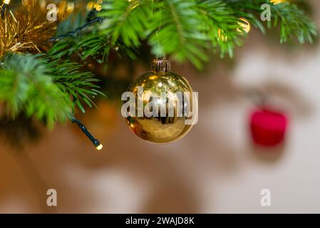 Festliche Weihnachtsdekoration einer goldenen Hochglanzkugel, die an einem Kiefernzweig hängt Stockfoto