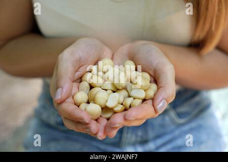 Macadamia-Nüsse. Nahaufnahme weiblicher Hände, die Macadamia-Nüsse im Freien halten. Stockfoto