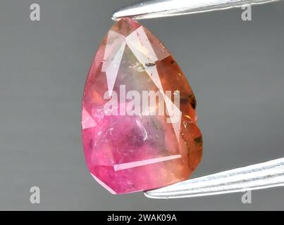 Natürliches zweifarbiges Turmalin-Juwel auf Hintergrund Stockfoto