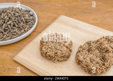 Fleischburger mit Mealworms/Tenebrio Molitor. Insekten werden in vielen Teilen der Welt als Nahrung gegessen und müssen nicht beängstigend sein. Siehe Hinweise Stockfoto