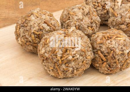 Fleischbällchen aus Mealworms/Tenebrio Molitor. Insekten werden in vielen Teilen der Welt als Nahrung gegessen und müssen nicht beängstigend sein. Siehe Hinweise Stockfoto