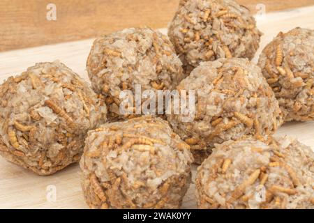 Fleischbällchen aus Mealworms/Tenebrio Molitor. Insekten werden in vielen Teilen der Welt als Nahrung gegessen und müssen nicht beängstigend sein. Siehe Hinweise Stockfoto