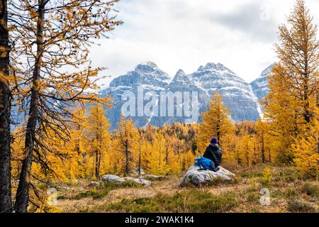 Touristen wandern im Lärchtal. Banff National Park, Kanadische Rockies, Alberta, Kanada. Goldener gelber Lärchenwald in der Herbstsaison. Tal der zehn Stockfoto