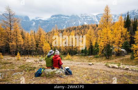 Touristen wandern im Lärchtal. Banff National Park, Kanadische Rockies, Alberta, Kanada. Goldener gelber Lärchenwald in der Herbstsaison. Tal der zehn Stockfoto