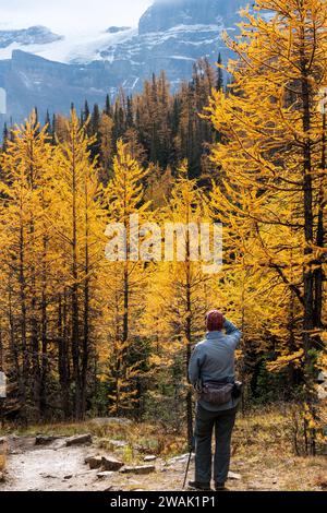 Touristen wandern im Lärchtal. Banff National Park, Kanadische Rockies, Alberta, Kanada. Goldener gelber Lärchenwald in der Herbstsaison. Tal der zehn Stockfoto