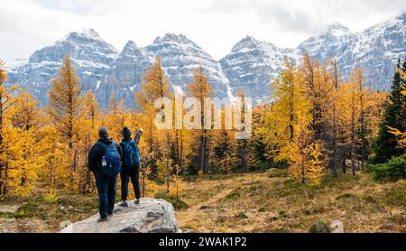 Touristen wandern im Lärchtal. Banff National Park, Kanadische Rockies, Alberta, Kanada. Goldener gelber Lärchenwald in der Herbstsaison. Tal der zehn Stockfoto