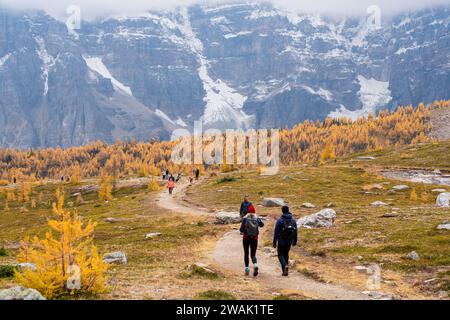 Touristen wandern im Lärchtal. Banff National Park, Kanadische Rockies, Alberta, Kanada. Goldener gelber Lärchenwald in der Herbstsaison. Tal der zehn Stockfoto