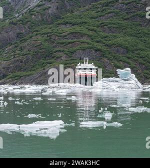 Das Hurtigruten-Schiff Roald Amundsen liegt im Misty Fjord, umgeben von Growlern (kleinen Eisbergen), Alaska, USA Stockfoto