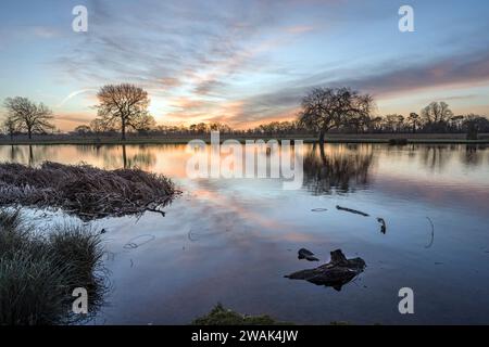 Sonnenaufgang ins neue Jahr im Bushy Park in Surrey, Großbritannien Stockfoto