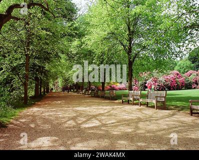 Die Promenade in Kenwood, Hampstead Heath, London Mitte Mai mit Rhododendron und Azalias in voller Blüte. Dieses Bild strahlt Atmosphäre und Wohlbefinden aus Stockfoto