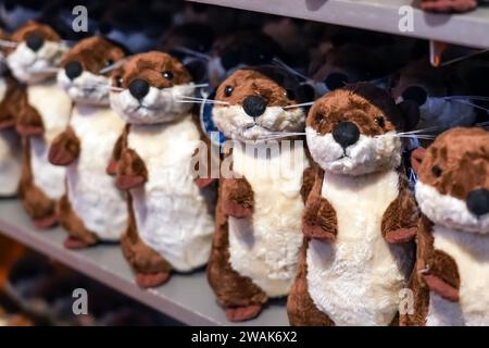 Viele niedliche Spielzeugotter im Spielwarenladen. Stockfoto