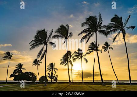 Friedliche Strandszene mit hohen Palmen, die sich vor einem glühenden Sonnenuntergang im Ko'olina Beach Park, Oahu, Hawaii, abzeichnen Stockfoto