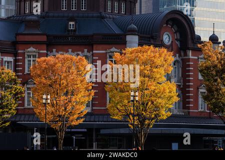 Farbenfrohes Herbstlaub auf einer Reihe von Bäumen vor der Backsteinfassade des Eingangs des marunouchi zum Bahnhof tokio Stockfoto