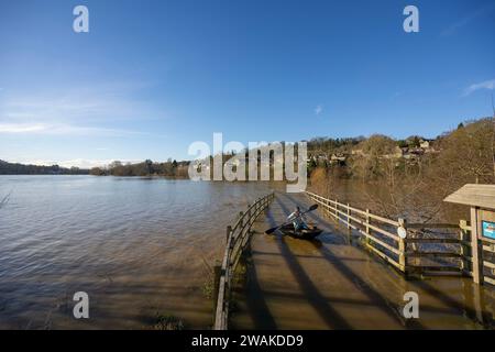 Scharlach Henderson nimmt das Hochwasser in ihrem Haus gebauten Korakel auf, wo der Fluss Avon bei Batheaston nach Sturm Henk seine Ufer geplatzt hat. Stockfoto