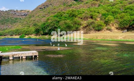 Bootsgebiet/Flussgebiet von Wadi Darbat in der Dhofar-Region von Oman Stockfoto