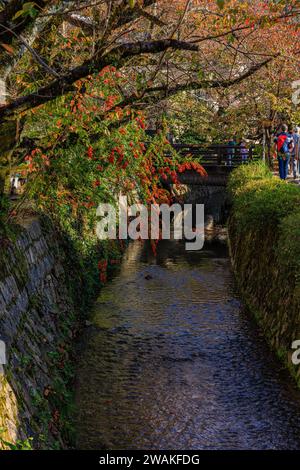 Herbstfarben und Reflexion auf dem Wasserweg des Pfades der Philosophie ein angenehmer Spaziergang in kyoto japan Stockfoto