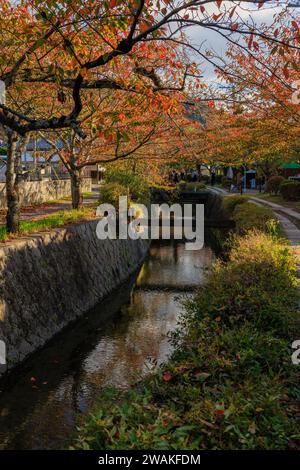 Herbstfarben und Reflexion auf dem Wasserweg des Pfades der Philosophie ein angenehmer Spaziergang in kyoto japan Stockfoto