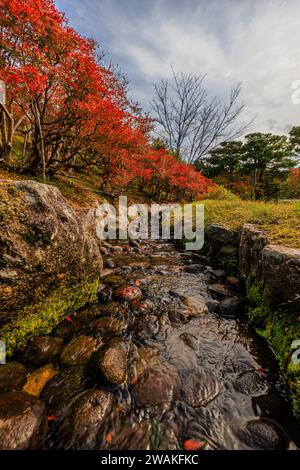 Ein kleiner Bach, der in einem Kanal im japanischen Garten in nara fließt, mit roten Herbstblättern Stockfoto