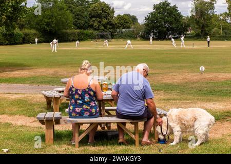 Großbritannien, England, Oxfordshire, Fringford, Cricket-Spiel läuft Stockfoto